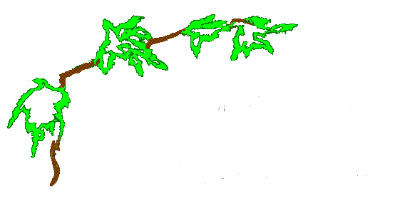 Firmenlogo Blumenkunst-Bollewick